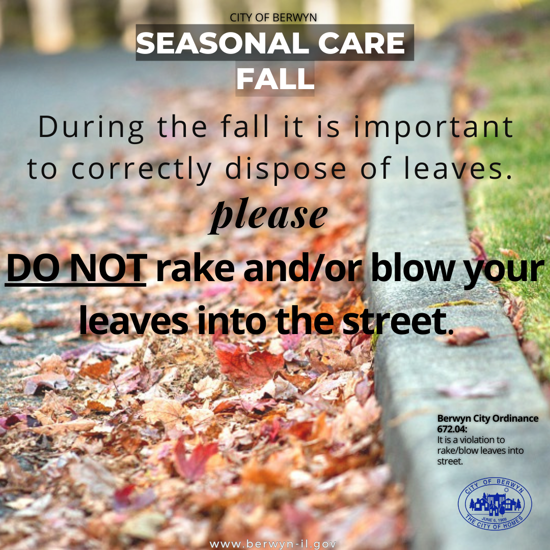 It is a city ordinance violation to rake or blow leaves into the public street.