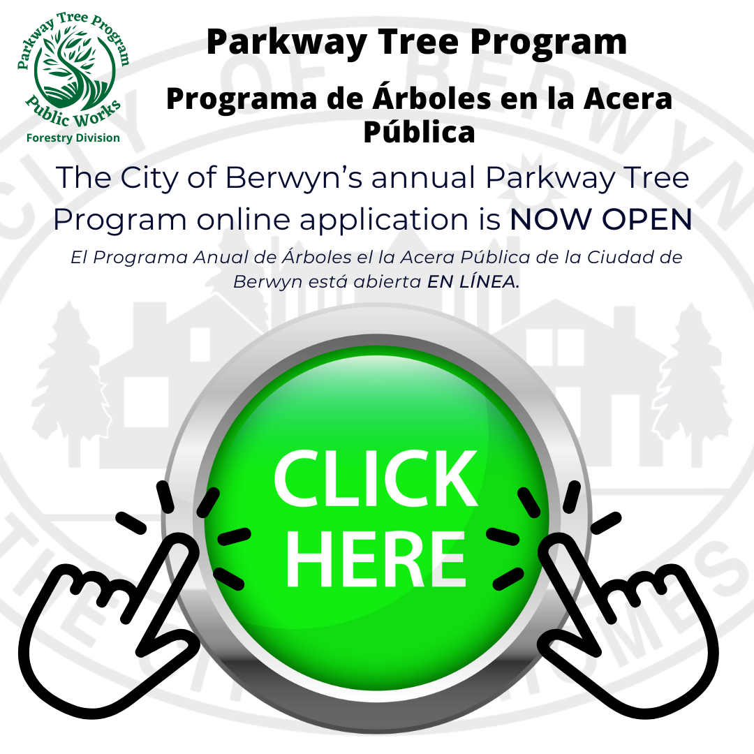 Parkeway Tree Click Here